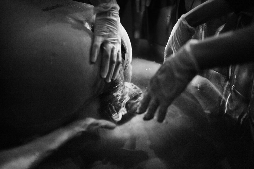 El difícil proceso de dar a luz a una nueva vida El difícil proceso de dar a luz a una nueva vida