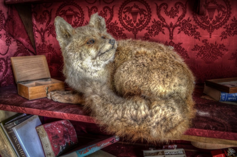 El espeluznante quirófano abandonado de un urólogo alemán ha permanecido intacto durante casi 30 años El espeluznante quirófano abandonado de un urólogo alemán ha permanecido intacto durante casi 30 años