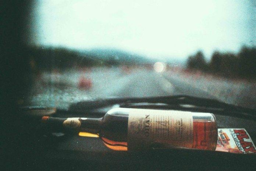 El espíritu salvaje de la libertad pura por el fotógrafo Theo Gosselin El espíritu salvaje de la libertad pura por el fotógrafo Theo Gosselin