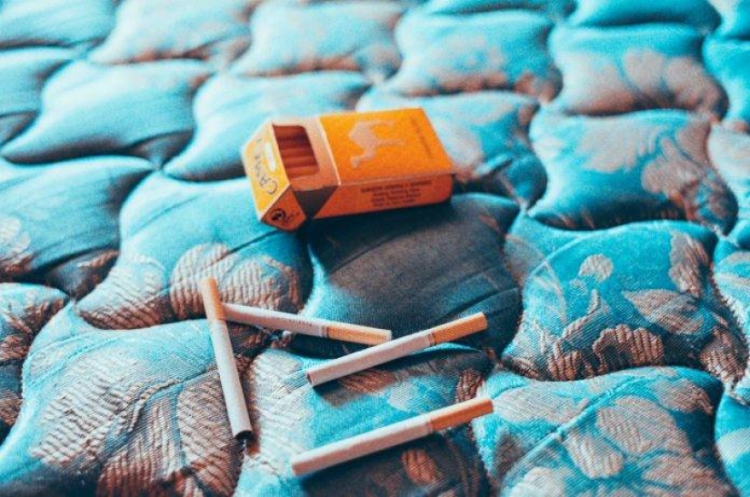 El espíritu salvaje de la libertad pura por el fotógrafo Theo Gosselin El espíritu salvaje de la libertad pura por el fotógrafo Theo Gosselin