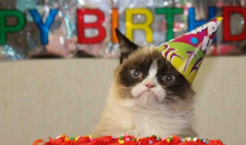 El gato más enojado de Internet se ha convertido en la musa de los artistas El gato más enojado de Internet se ha convertido en la musa de los artistas