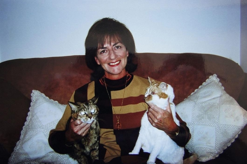 El gato más viejo del mundo entró en el Libro Guinness de los Récords