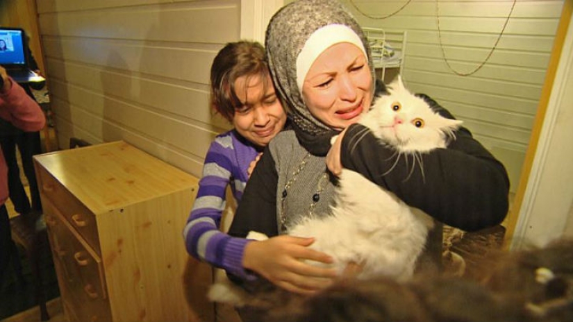 El gato perdido regresa a la familia de refugiados iraquíes después de viajar por medio mundo El gato perdido regresa a la familia de refugiados iraquíes después de viajar por medio mundo