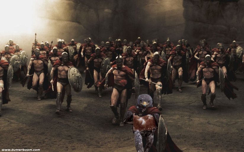 El halcón se convirtió en el héroe de la batalla de Photoshop.