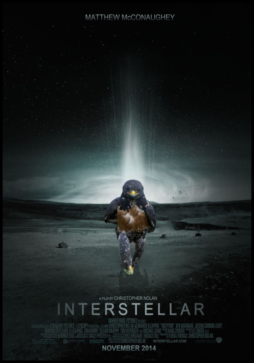 El halcón se convirtió en el héroe de la batalla de Photoshop.