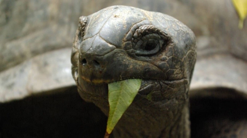 El hombre dejó todo y se fue a su propia isla desierta
