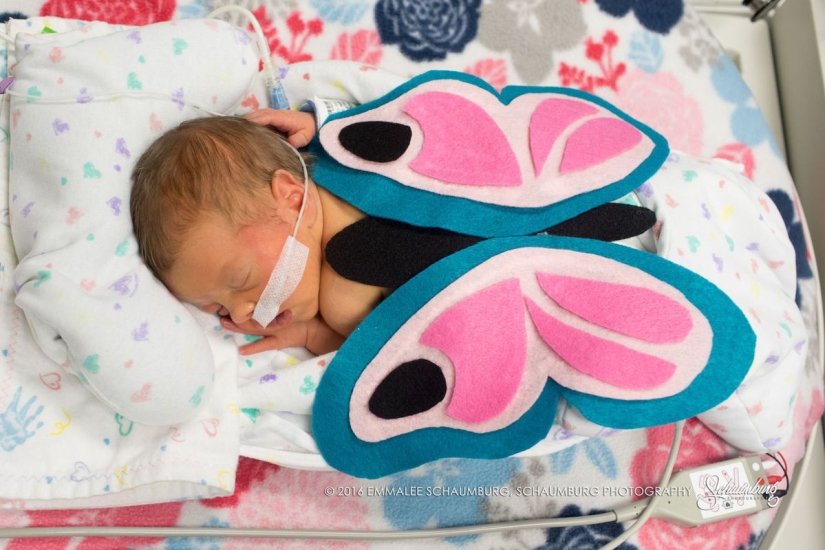 El Hospital de Niños vistió a los recién nacidos prematuros con superhéroes y organizó una sesión de fotos El Hospital de Niños vistió a los recién nacidos prematuros con superhéroes y organizó una sesión de fotos