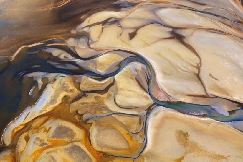 El lado salvaje de África El lado salvaje de África