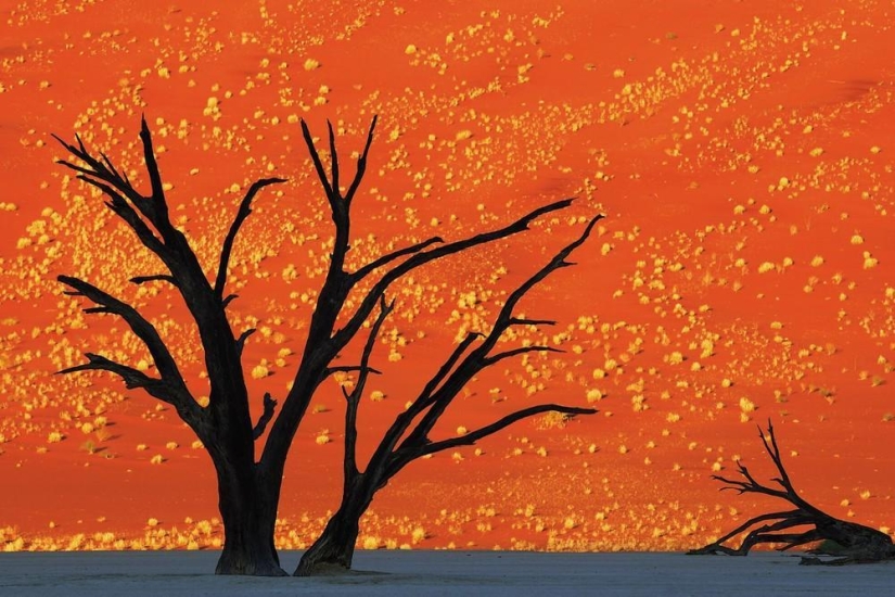 El lado salvaje de África El lado salvaje de África