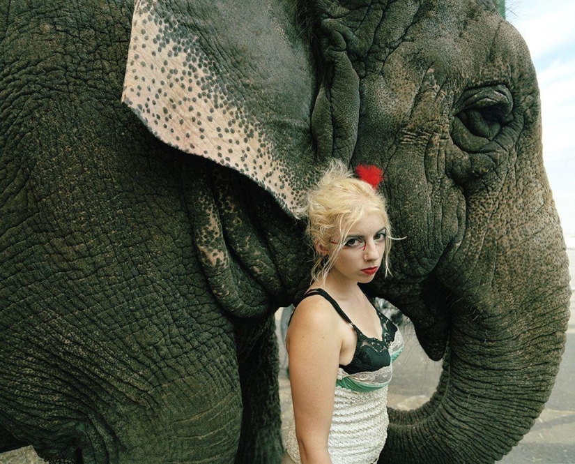 El último Circo sobre ruedas de Estados Unidos