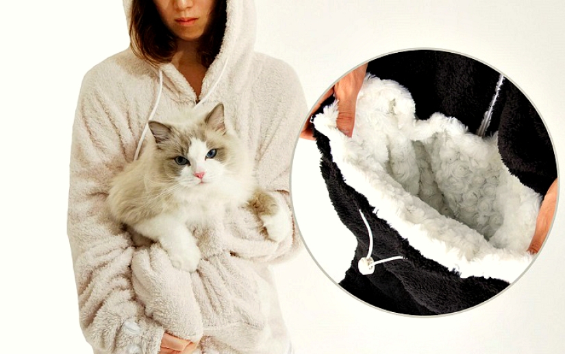 ¡El mejor regalo para el dueño de un gato para el Año Nuevo!