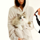 ¡El mejor regalo para el dueño de un gato para el Año Nuevo!