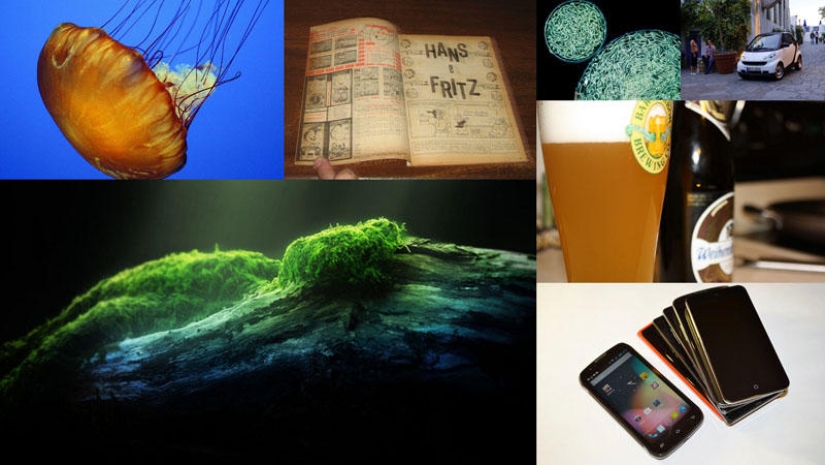 El más tenaz y longevo El más tenaz y longevo