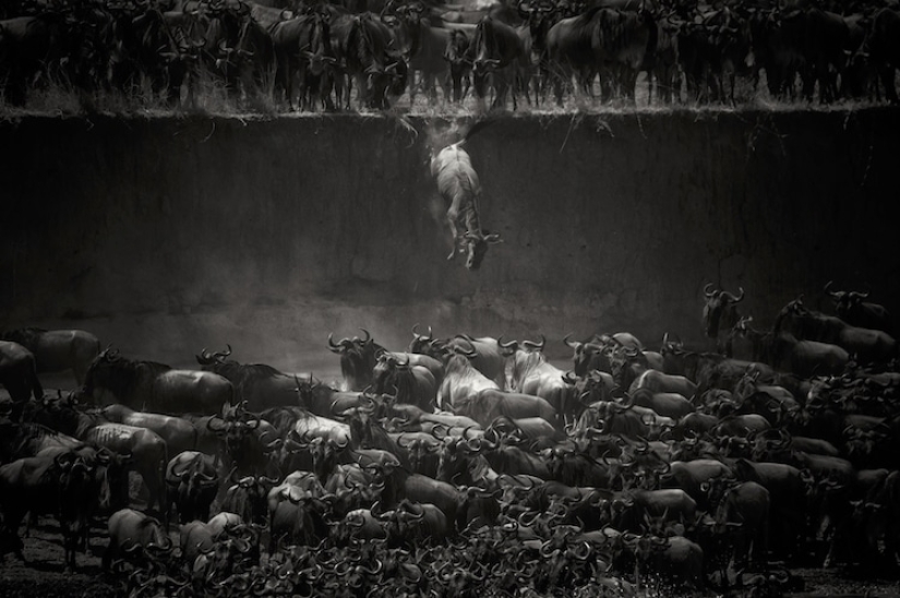 El mundo en blanco y negro: los mejores trabajos del concurso de fotografía Monovisiones 2017 El mundo en blanco y negro: los mejores trabajos del concurso de fotografía Monovisiones 2017