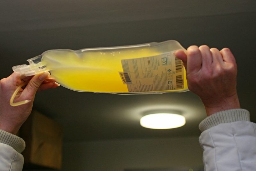 El negocio de la sangre: las transfusiones antienvejecimiento están ganando popularidad en Estados Unidos. ¿Pero les sirve de algo? El negocio de la sangre: las transfusiones antienvejecimiento están ganando popularidad en Estados Unidos. ¿Pero les sirve de algo?