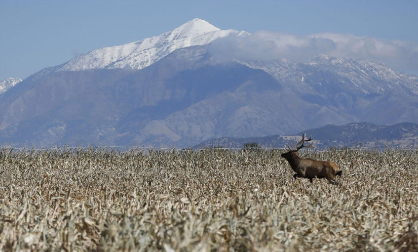El otoño está en el aire