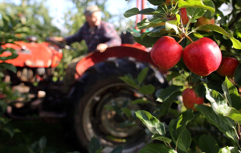 El otoño está en el aire