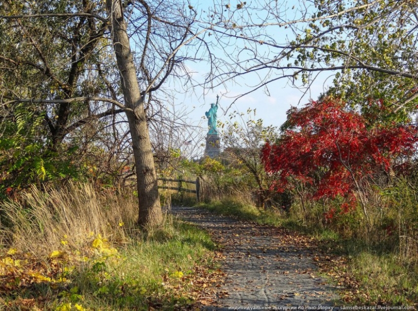 El otro lado de la libertad