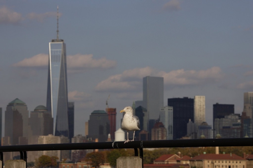 El otro lado de la libertad