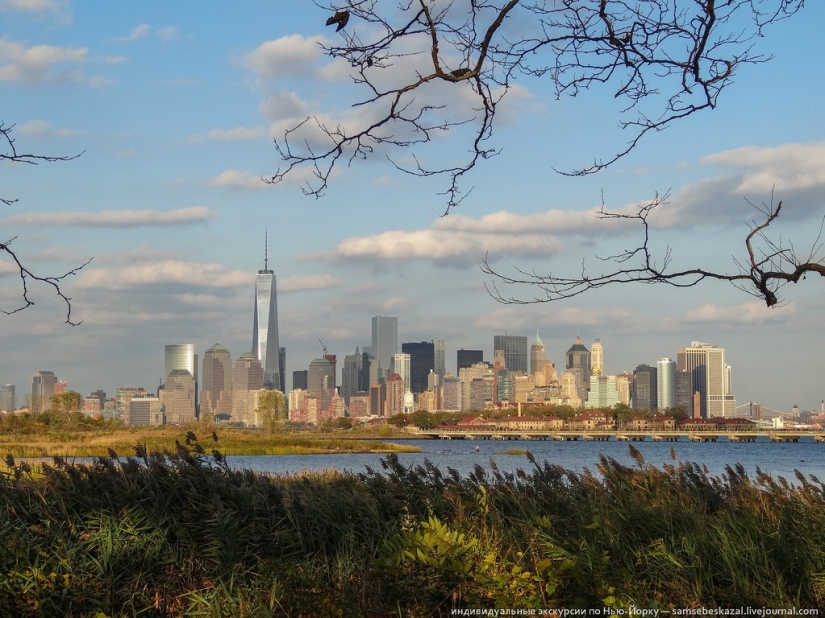 El otro lado de la libertad