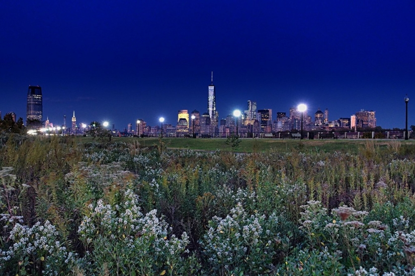 El otro lado de la libertad