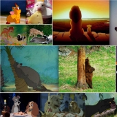 El pato Donald y otros 20 animales de Disney en la vida real