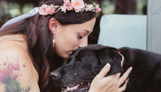 El perro moribundo vivió para ver la boda de su amada amante El perro moribundo vivió para ver la boda de su amada amante
