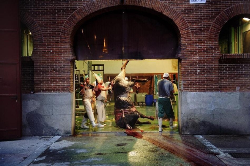 El regreso del matador