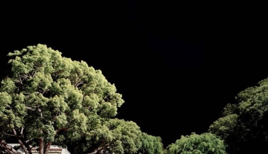 El sol robado en la noche Fotos de Kevin Cooley