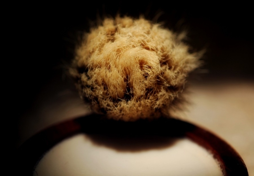 El trabajo de un peluquero y sus herramientas de trabajo. El trabajo de un peluquero y sus herramientas de trabajo.