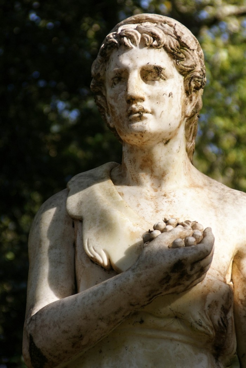 Elixir of the Gods: 36 Interesting Facts About Wine