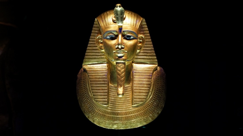 Elixir of the Gods: 36 Interesting Facts About Wine