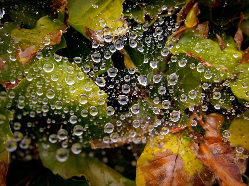 Elixir of the Gods: 36 Interesting Facts About Wine