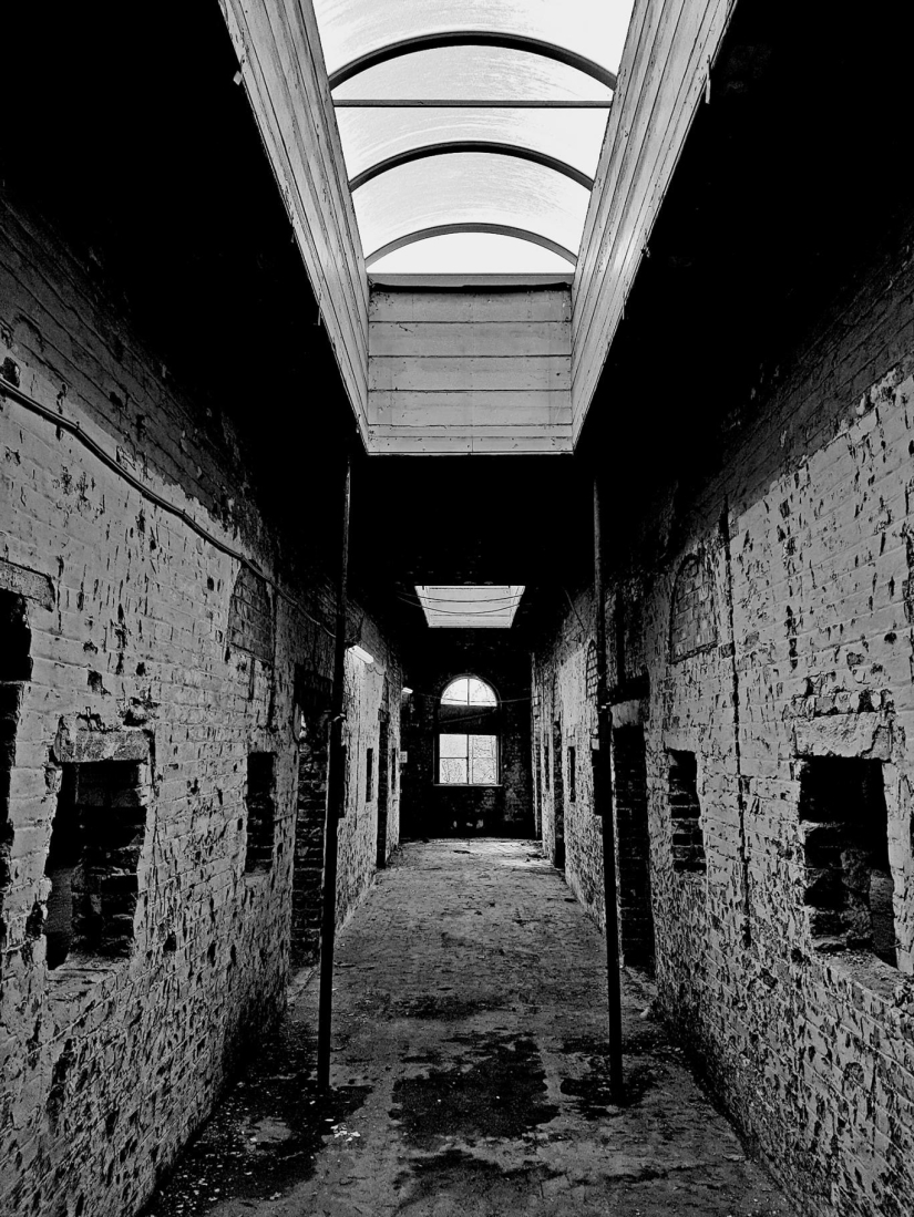 “Elizabeth, ¡nos encantó todo!”