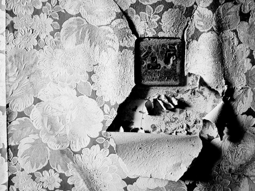 “Elizabeth, ¡nos encantó todo!”