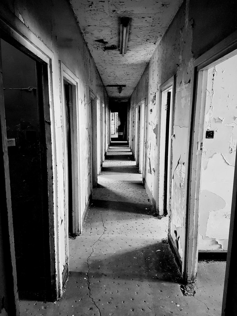 “Elizabeth, ¡nos encantó todo!”