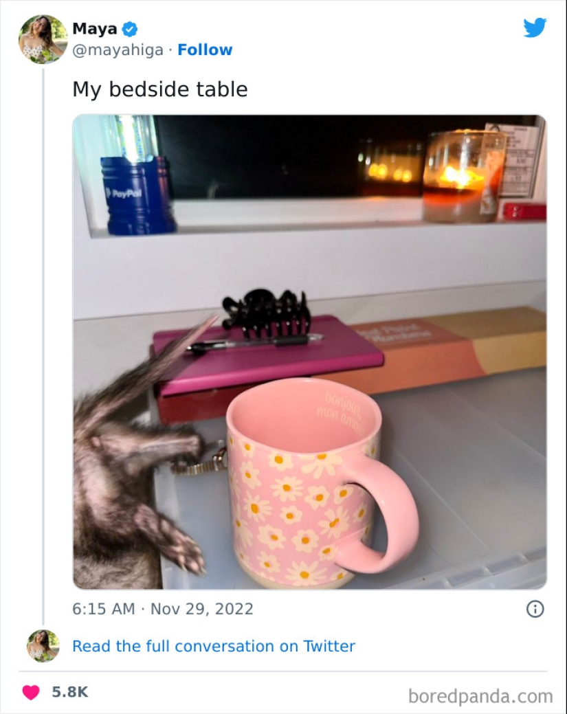 Elon Musk publicó una foto de su mesita de noche, por lo que Internet creó divertidos memes al respecto Elon Musk publicó una foto de su mesita de noche, por lo que Internet creó divertidos memes al respecto