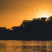 Embracing the Dawn: 5 Reasons Why Sunrise Photography Outshines Sunset Photography