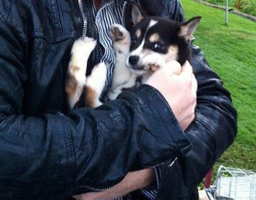 Emotional selection: Sideways glances in the animal world Emotional selection: Sideways glances in the animal world