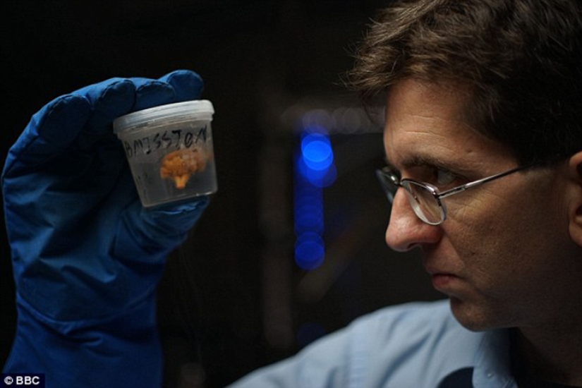 Empresario ruso decidió darnos vida eterna Empresario ruso decidió darnos vida eterna