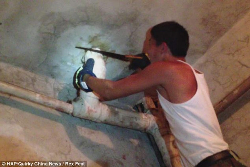 En China, un recién nacido fue rescatado después de ser tirado por el inodoro