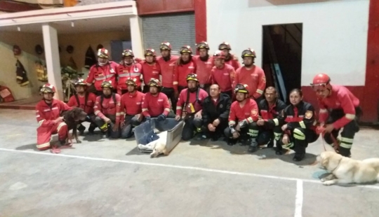 En Ecuador, el perro rescató a 7 personas de los escombros y murió por deshidratación En Ecuador, el perro rescató a 7 personas de los escombros y murió por deshidratación