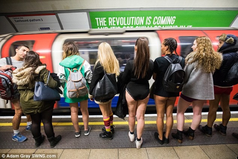En el metro en calzoncillos — se celebró un "Día sin pantalones" en Londres En el metro en calzoncillos — se celebró un "Día sin pantalones" en Londres