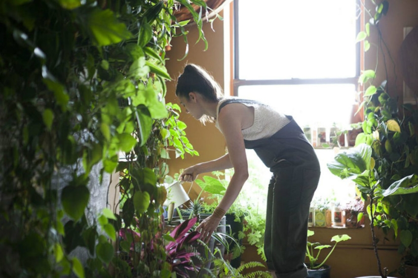 En la jungla urbana: una modelo de Nueva York cultiva más de 500 plantas en un apartamento