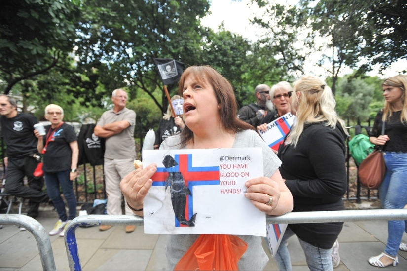 En las costas sangrientas: los feroeses vuelven a matar brutalmente a cientos de delfines