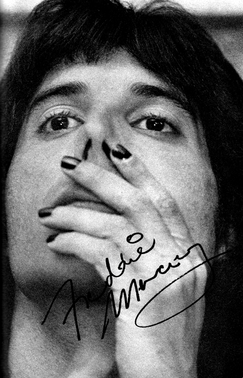 En memoria de Freddie Mercury En memoria de Freddie Mercury