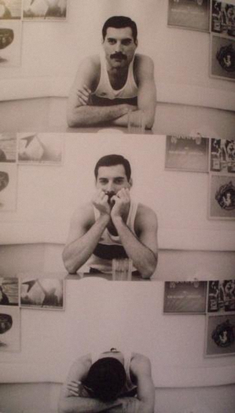 En memoria de Freddie Mercury En memoria de Freddie Mercury