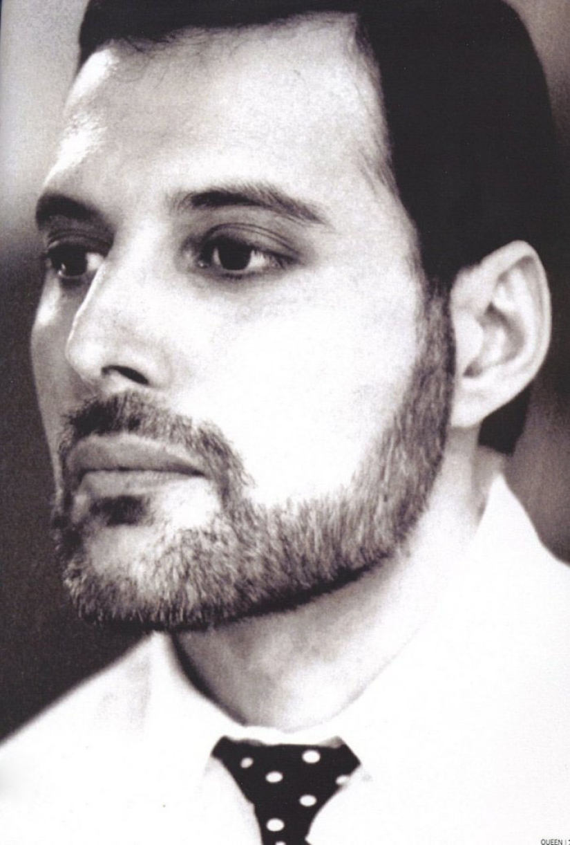 En memoria de Freddie Mercury En memoria de Freddie Mercury