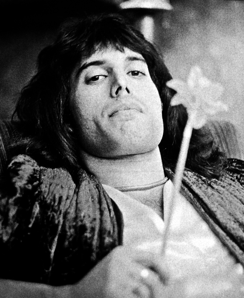 En memoria de Freddie Mercury En memoria de Freddie Mercury