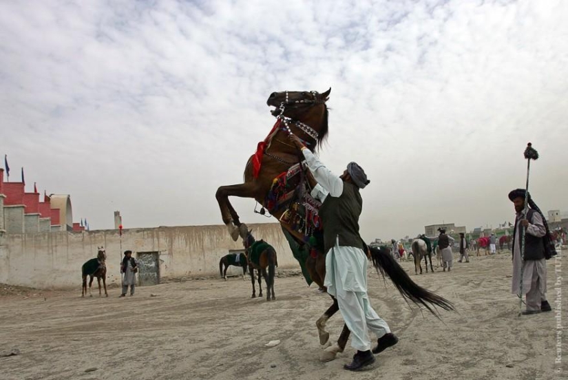 En todo el mundo: cómo se celebra el Día de la Independencia en diferentes países